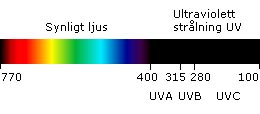 Spektrum från infrarött till röntgen